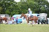 UKPA NC SAT_2645